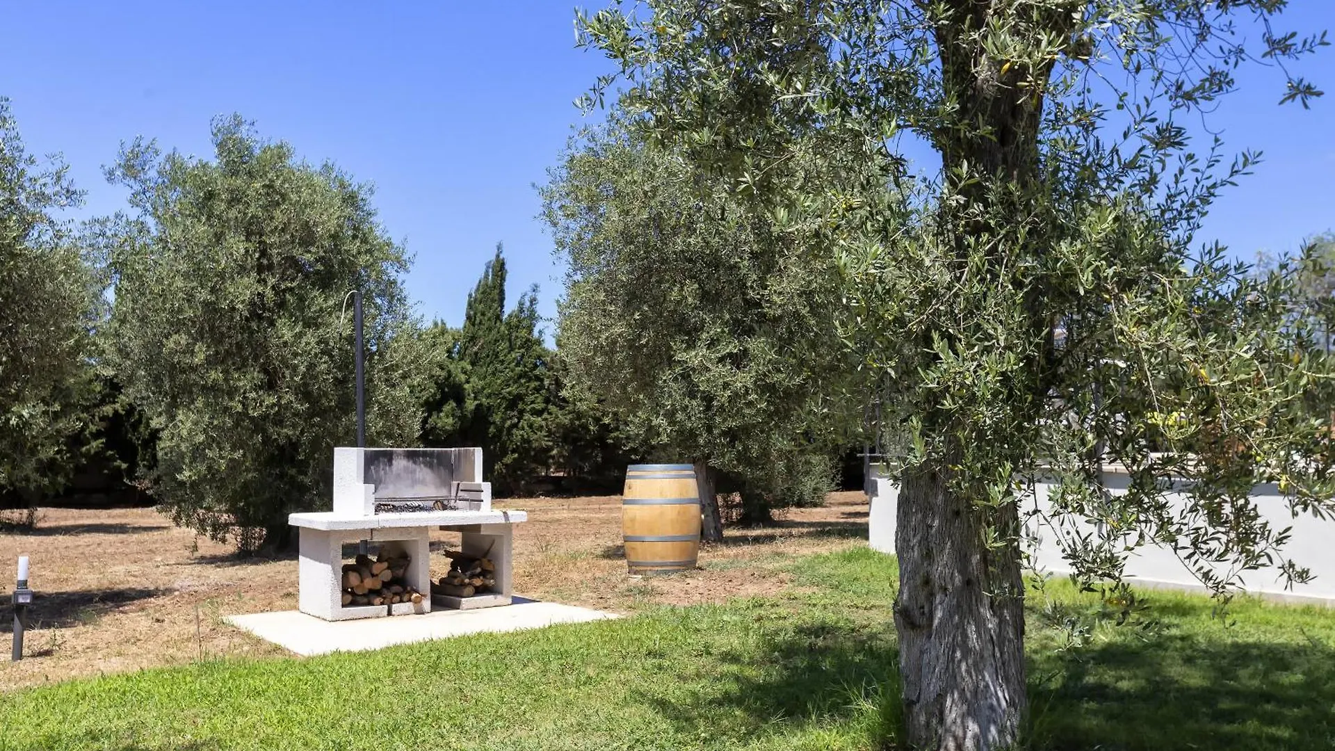 Villa Olivetta Con Piscina アルゲーロ